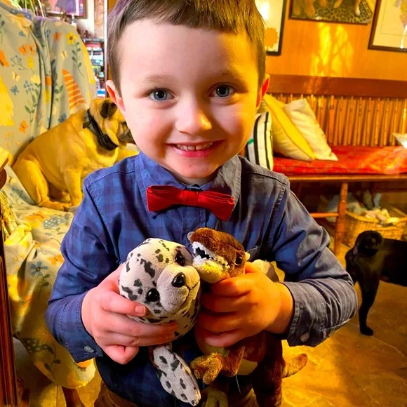 Lot of toddler boys clothing - you tell me! Size 4T,5T & 6 - Picture 1 of 1